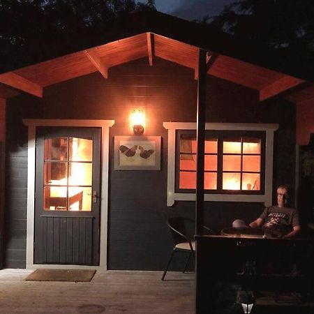 Unique Tiny House Near 3 Peaks - The Zedshed Apartment Bentham ภายนอก รูปภาพ