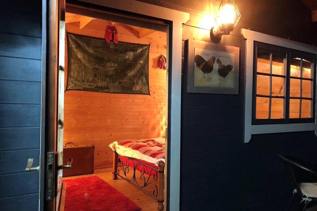 Unique Tiny House Near 3 Peaks - The Zedshed Apartment Bentham ภายนอก รูปภาพ